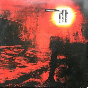 DARK TRANQUILLITY - Character LP