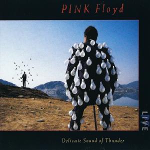 PINK FLOYD - Delicate Sound Of Thunder (Double Fat Case) 2CD