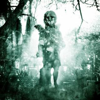 MACHINE HEAD - Through The Ashes Of Empires (180gr / Gatefold) LP
